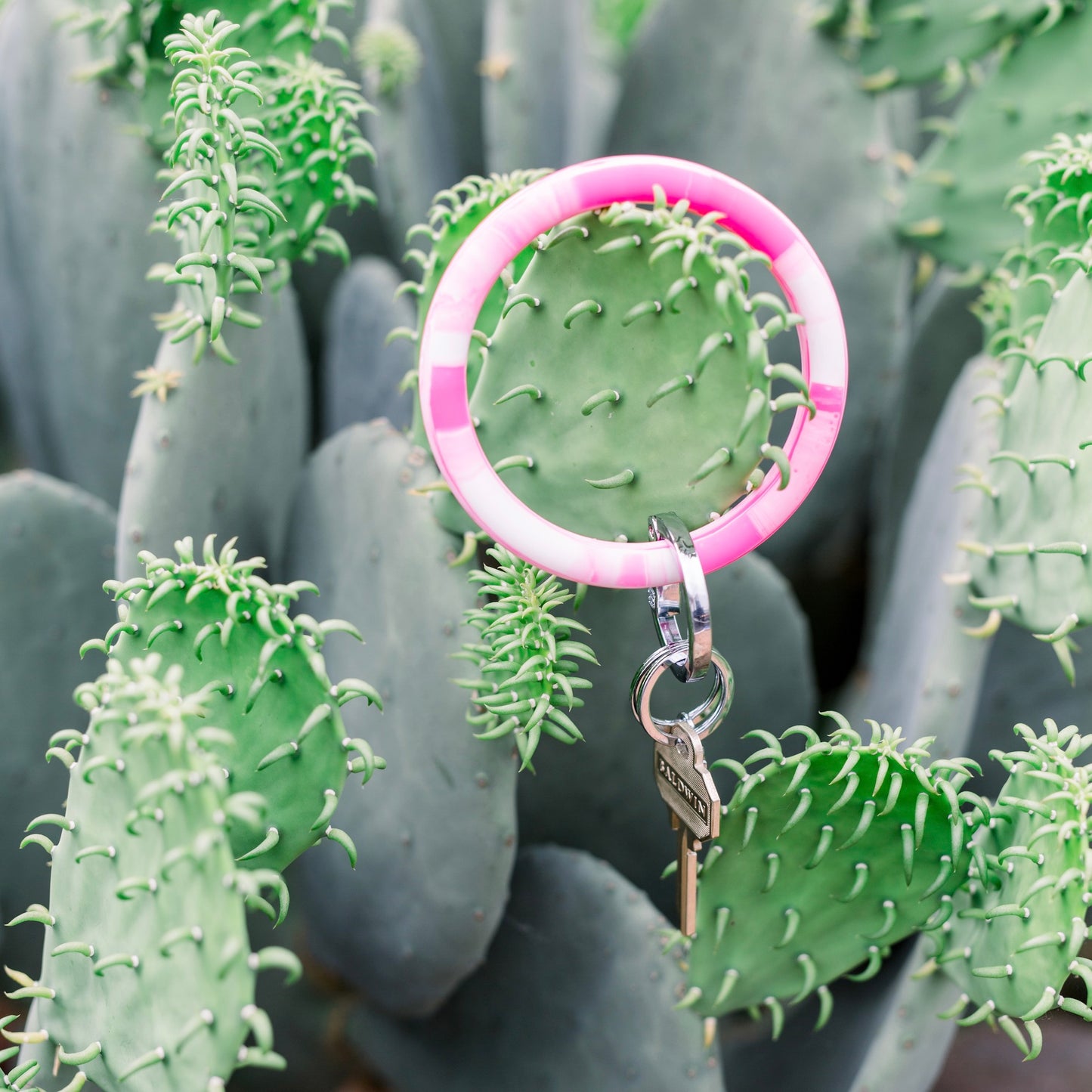 Silicone Big O Key Ring in Marble Tickled Pink
